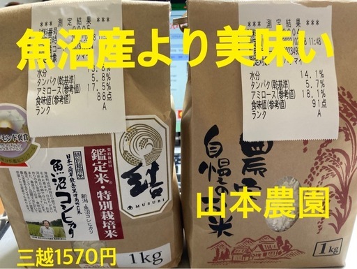 新米めっちゃ美味いコシヒカリ　玄米30kg