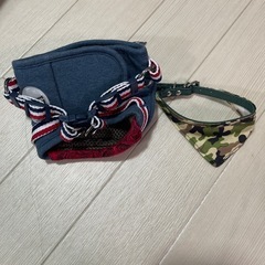 犬用服の画像