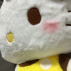 ハローキティ　ぬいぐるみの画像