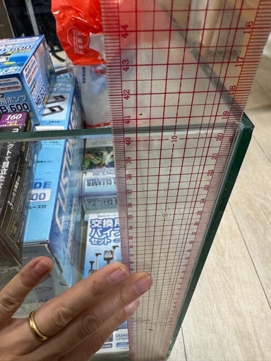12/18まで　金魚　水槽セット