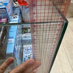 金魚　水槽セットの画像