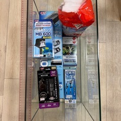 金魚　水槽セットの画像