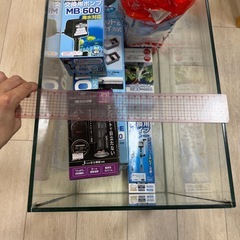 金魚　水槽セットの画像