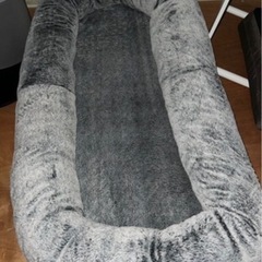 (運搬費込)(即日、深夜OK) ペット用ベッド🐶🐱🛌❣️の画像