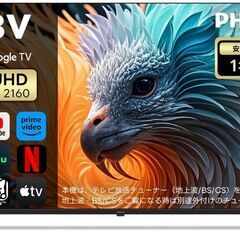 Philips 43" 4K チューナーレススマートテレビ 43PUH7169の画像
