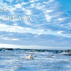 カレンダー　2026年　壁掛け　ダイキン【定型文不可】の画像