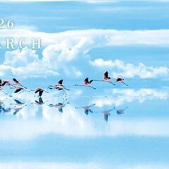 カレンダー　2026年　壁掛け　ダイキン【定型文不可】の画像