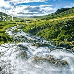 カレンダー　2026年　壁掛け　ダイキン【定型文不可】の画像