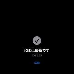 Iphone 11  シムフリーの画像