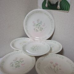 未使用  レア　nitto ノリタケ freshtones　カントリーハーブ　プレート大１枚中5枚計６枚　ハーブの柄が５種類とてもおしゃれですの画像