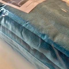 新品未使用　ブランケット　グリーン の画像