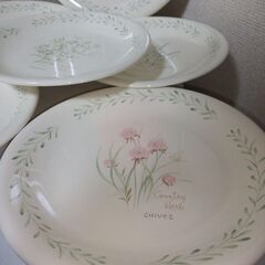 未使用  レア　nitto ノリタケ freshtones　カントリーハーブ　プレート大１枚中5枚計６枚　ハーブの柄が５種類とてもおしゃれですの画像