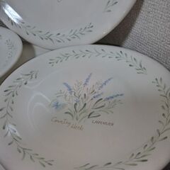 未使用  レア　nitto ノリタケ freshtones　カントリーハーブ　プレート大１枚中5枚計６枚　ハーブの柄が５種類とてもおしゃれですの画像