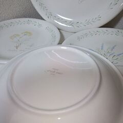 未使用  レア　nitto ノリタケ freshtones　カントリーハーブ　プレート大１枚中5枚計６枚　ハーブの柄が５種類とてもおしゃれですの画像