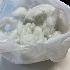 🫧🐒  綿　わたの画像