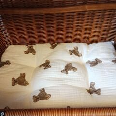 美品　ラタン　籐　ペットキャリーM　専用クッション付の画像