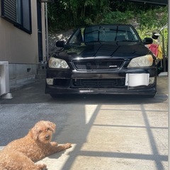 アルテッツァ　SXE10  rs200 車検残り1年‼︎