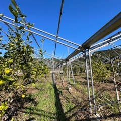 ビニールハウス解体部材　C鋼　1本6m辺り1,000円の画像