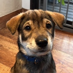 生後2ヶ月半・男の子