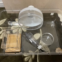 小動物ゲージの画像