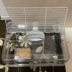 小動物ゲージの画像