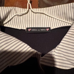 ニット　シャツ　 セーター　レディースMサイズ　DREA MY MINXの画像