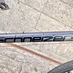 SCHNEIZER MINI Z501 20インチ ミニベロ タイヤ前後要交換の画像