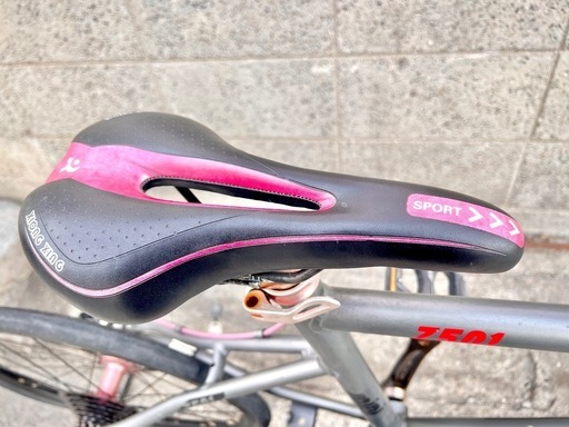 SCHNEIZER MINI Z501 20インチ ミニベロ タイヤ前後要交換