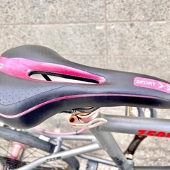 SCHNEIZER MINI Z501 20インチ ミニベロ タイヤ前後要交換の画像