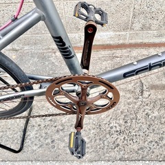 SCHNEIZER MINI Z501 20インチ ミニベロ タイヤ前後要交換の画像