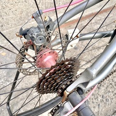 SCHNEIZER MINI Z501 20インチ ミニベロ タイヤ前後要交換の画像