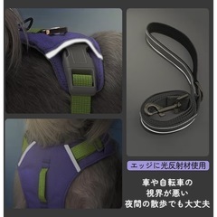 ⭕小型・中型犬用ハーネス サイズM⭕の画像