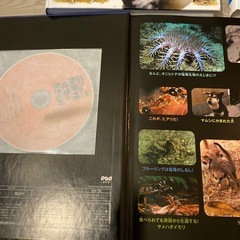 動物図鑑3冊DVD付きの画像