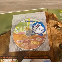 動物図鑑3冊DVD付きの画像
