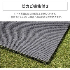 防草シート兼用人工芝の画像