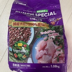 犬用13歳以上の画像