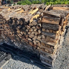 1年乾燥薪ショート(20〜30cm)の画像