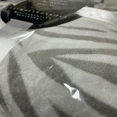 まるで猫のようなブランケットの画像