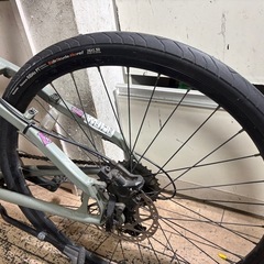 BRODIE BRUZZA マウンテンバイクフロントカーボン仕様　DISK の画像