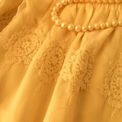 豪華なレースのお姫様フレアスカート。の画像