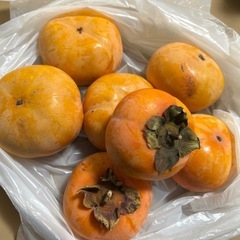 カゴメトマトジュース他 ・甘柿の画像