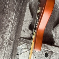 D’Angelico Deluxe Bedford SH Matteの画像