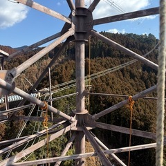 正社員募集の画像