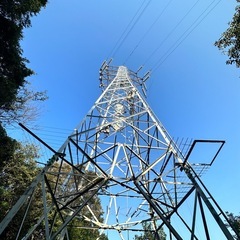 正社員募集の画像