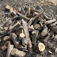 広葉樹原木、端材の画像