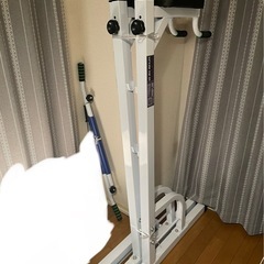 ぶら下がり　懸垂の画像