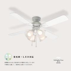 シーリングファンの画像