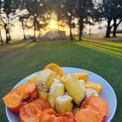 🌿【２月２１日（土）合同キャンプ⛺️のお知らせ】🌿