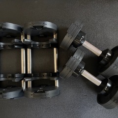 FLEXBELL フレックスベル ダンベル 可変式ダンベル 20kg 32kg TOPFILM 2本セットの画像