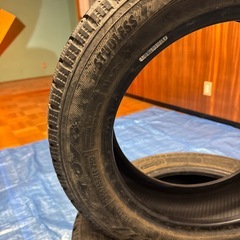 155-65r14 TOYO GARITGIZの画像